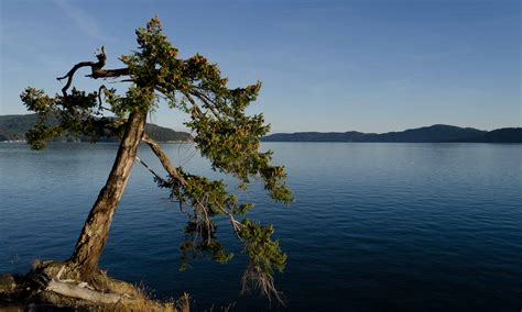 About Mayne Island - Mayne Island Conservancy