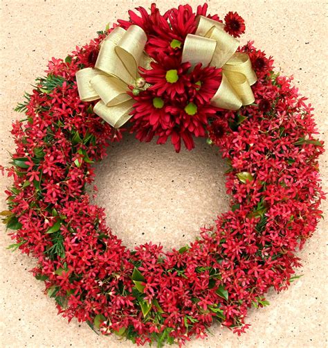 A Passion for Flowers: Christmas Bush