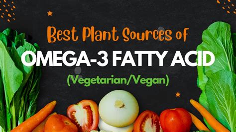 Best Plant based Sources of Omega-3 Fatty Acids (Vegetarian/Vegan ...