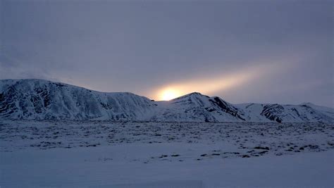 Alaska Winter Adventure - Arctic Wild