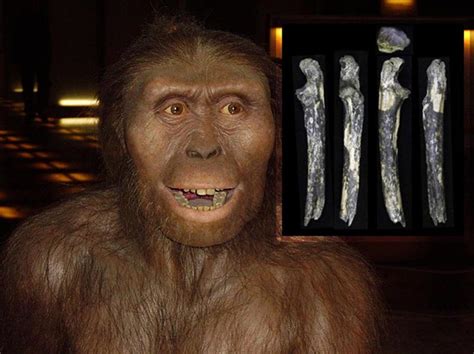 Australopithecus Fossils Found East of the Great Rift Valley | Ancient Origins