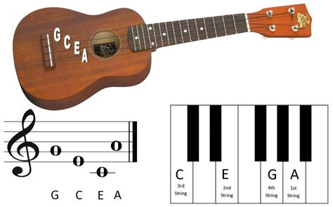 How to Choose the Right Strings for Your Ukulele - The Hub in 2023 ...