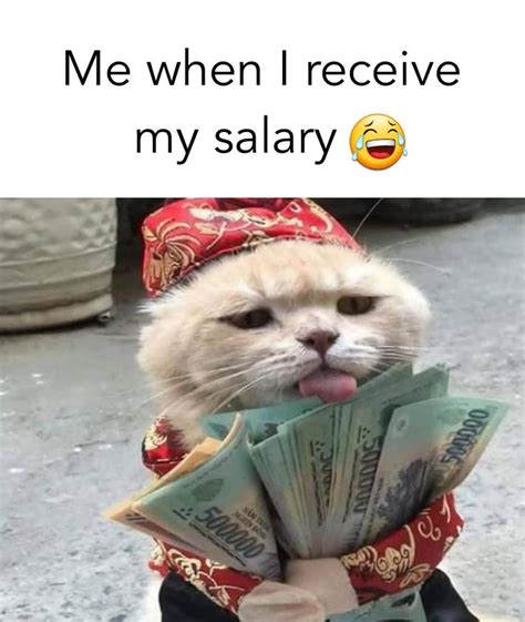 When I receive my salary | Cute funny quotes, Fun quotes funny, Memes