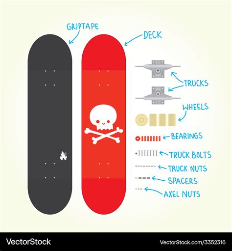 Skateboard isolated parts Royalty Free Vector Image