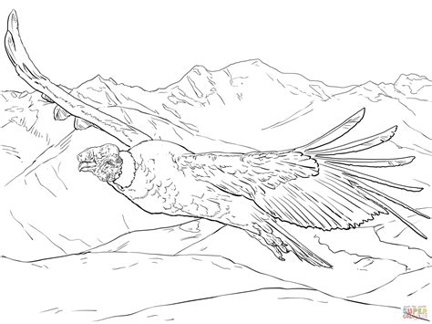 Flying Andean Condor coloring page | Free Printable Coloring Pages