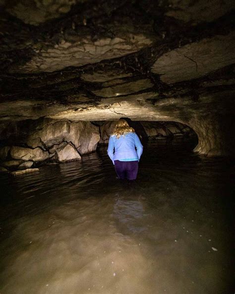 Waipu Caves: where to find the best glow worm displays — Walk My World