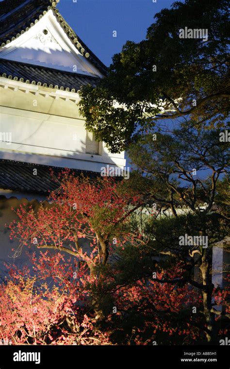 Nijo Castle at Sunset During Cherry Blossom Season, Kyoto, Japan Stock ...