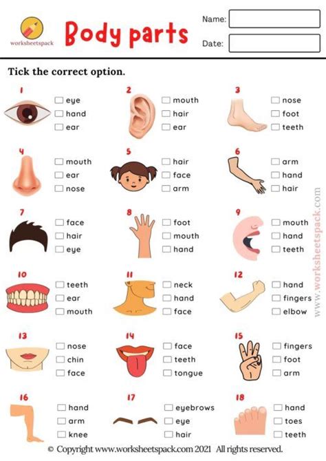 ESL Parts Of The Body Picture Quiz. Body parts vocabulary exercise PDF ...