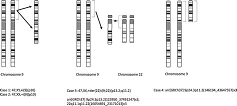 Frontiers | Cases of tetrasomy 9p and trisomy 9p in prenatal diagnosis—Analysis of noninvasive ...