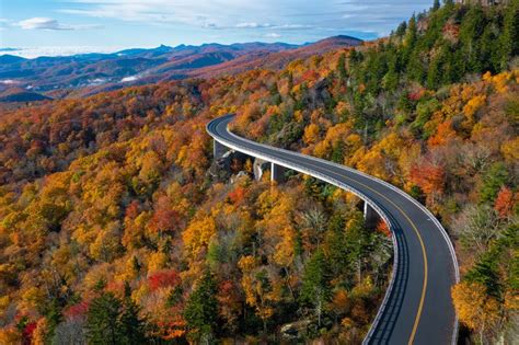 Take This Exciting Fall Foliage Train Ride In North Carolina