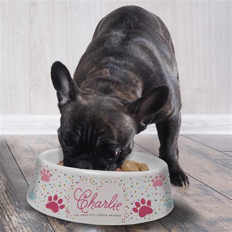 Personalised Melamine Dog Bowls