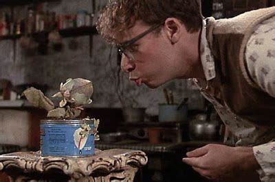 Rick Moranis as Seymour Krelborn | Little shop of horrors, Horror, Musical movies