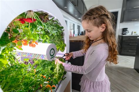 This gardening system can grow up to 90 fruits and veggies at once ...