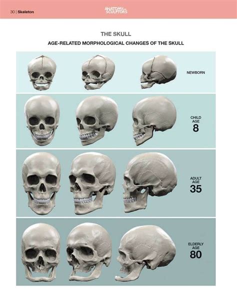 We Are Redefining The Anatomy Of The Human Face, Often The Most Difficult Area Of Human Anatomy ...