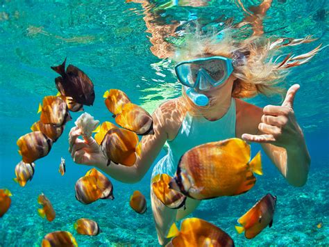 Snorkel safari on Corfu | OutdoorTrip