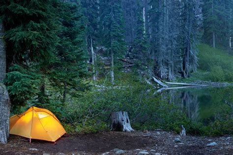 10 Amazing Locations to Camp with Wildlife