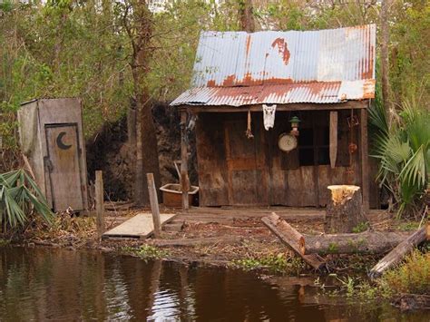 Haunted Swamp, Louisiana | Louisiana swamp, Louisiana bayou, Bayou house