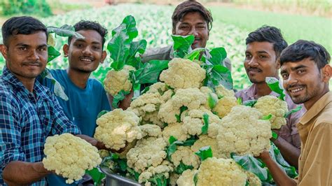 CAULIFLOWER | Gobi Flower Recipe | Village Style Recipe | Village Rasoi - YouTube