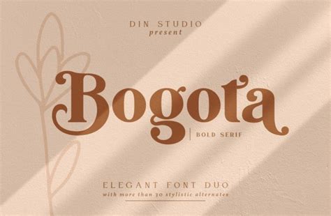 43 Free Decorative Fonts - Download Fonts