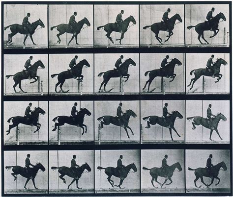 a matter of urban light: Eadweard Muybridge