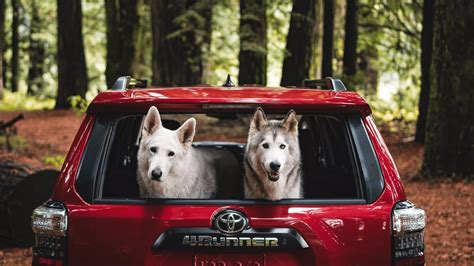 The 2023 Toyota 4Runner's 10 Best Features