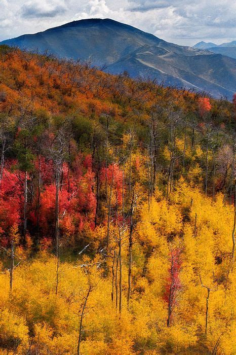 Autumn in the Wasatch Mountains by Douglas Pulsipher | Landscape, Wasatch mountains utah, Photo