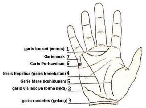 Cara Membaca Palmistri atau Arti Garis dari Tangan - Portal Kotamobagu