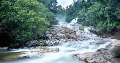 Malaysia showcases forest preservation | New Straits Times