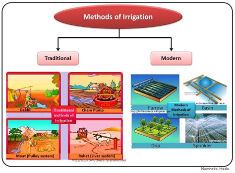 B for Biology: Crop Production and Management (Part II)