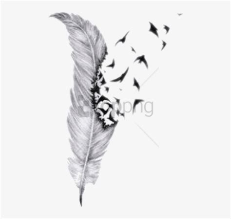 Design Peacock Feather Pencil Drawing - allesandra92