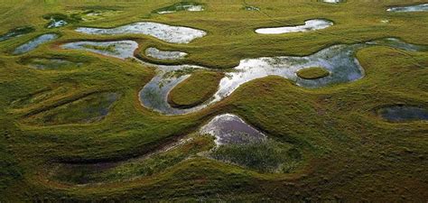 Athens 4_24_10 (1) | Vernal pool, Aerial photograph, Wetland