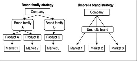 The brand family and the umbrella brand strategies | Download ...