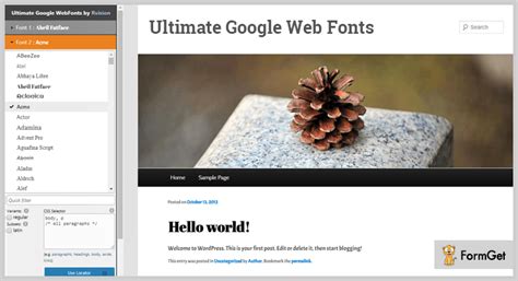 6+ Google Fonts WordPress Plugins 2022 (Free & Paid) | FormGet