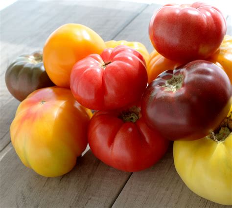 Local Heirloom Tomatoes in June? – Valley Community Food Co-op, Inc