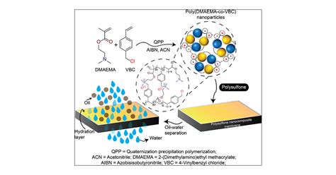 Catalyst- and Stabilizer-Free Rational Synthesis of Ionic Polymer Nanoparticles in One Step for ...