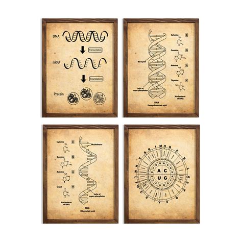 Vintage DNA and RNA Genetic Code Set Dna Wall Decor Rna Art Science ...