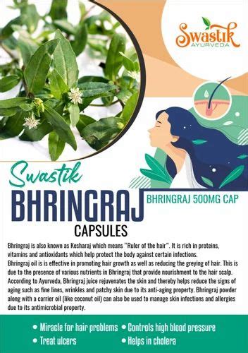 Swastik Bhringraj Capsules at Rs 190/bottle | Panchkula Industrial Area ...