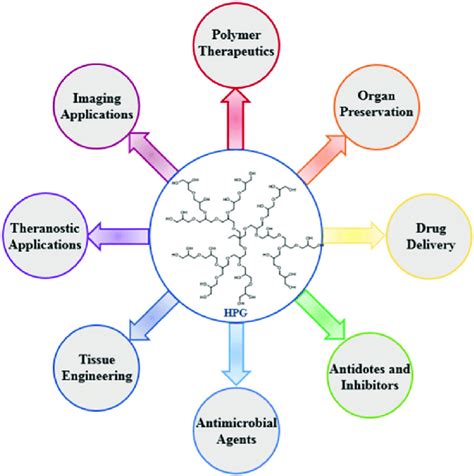 A cartoon displaying diverse biomedical applications where HPG has been ...