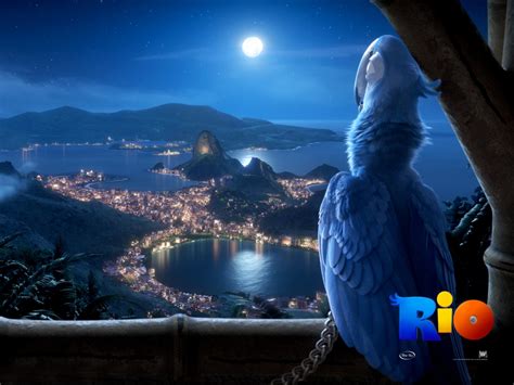 Blu in Rio Movie | the best wallpapers of the web