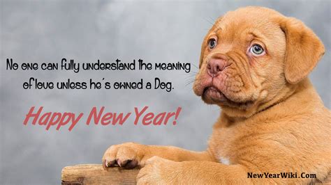 Happy New Year Dog Pictures: New Year 2024 Puppy Images - New Year Wiki