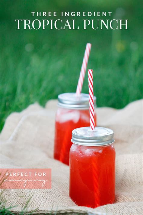 Easy Tropical Punch Recipe - Perfect for Camping! + Giveaway *CLOSED ...