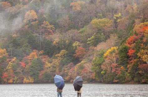 Fall Colors in Japan: Best Autumn Leaves Destinations To Visit