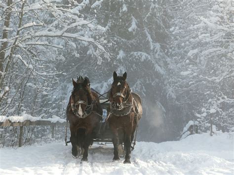 Where to Enjoy the Best Leavenworth, WA Sleigh Rides