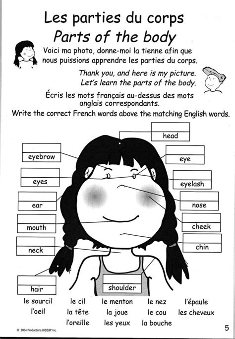 French Parts Of The Body Printable The Face Worksheet With Word Bank 4080 | The Best Porn Website