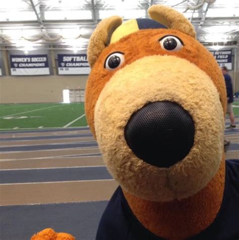 University of Akron reports mascot Zippy costumes stolen | Fox 8 Cleveland WJW