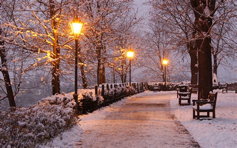 Image Czech Republic Brno Winter Nature park Snow Bench 1920x1200