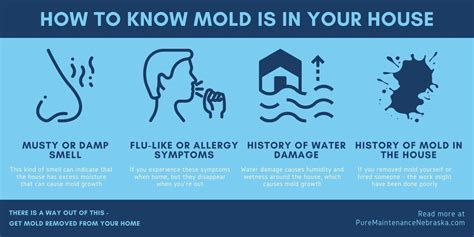 11 Symptoms of Mold Exposure That You Should Know