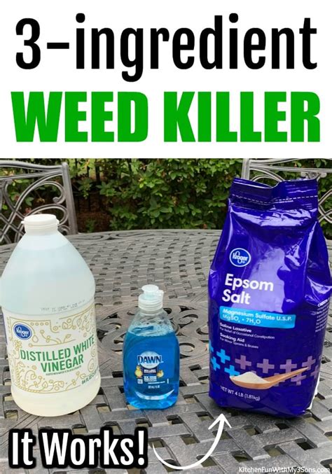 How to Make Homemade Weed Killer | Kitchen Fun with My 3 Sons