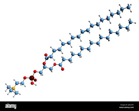 Palmitoyl oleoyl hi-res stock photography and images - Alamy