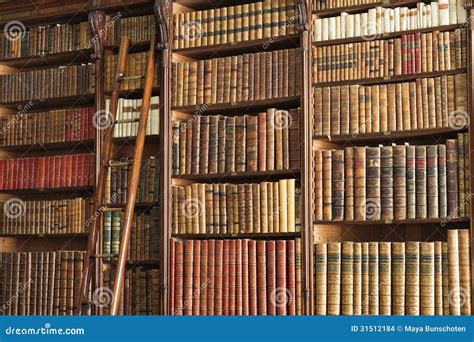 Old Library With Ladder Stock Images - Image: 31512184